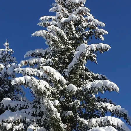 Apartamento Auderer Monika *