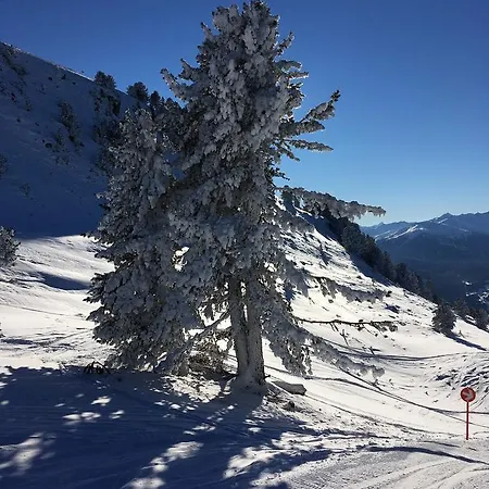 Apartamento Auderer Monika