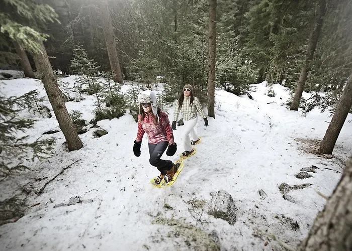 Auderer Monika * Jerzens