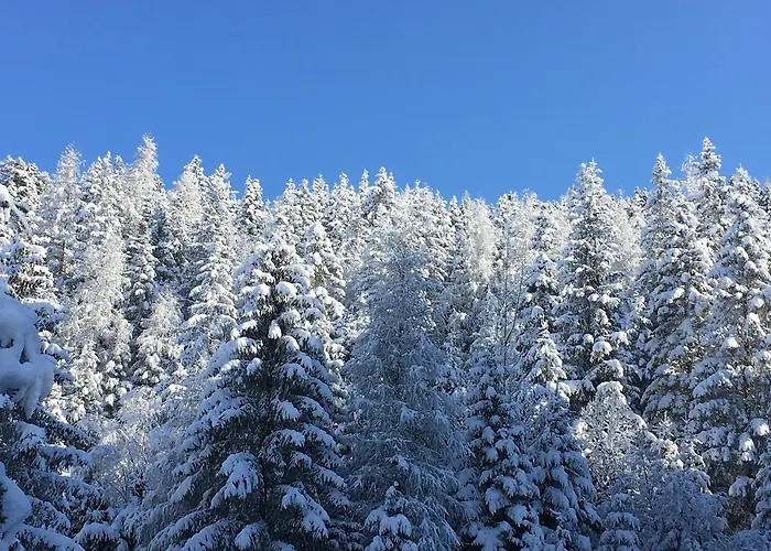 Auderer Monika Appartamento *