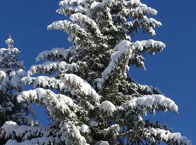 Appartamento Auderer Monika *