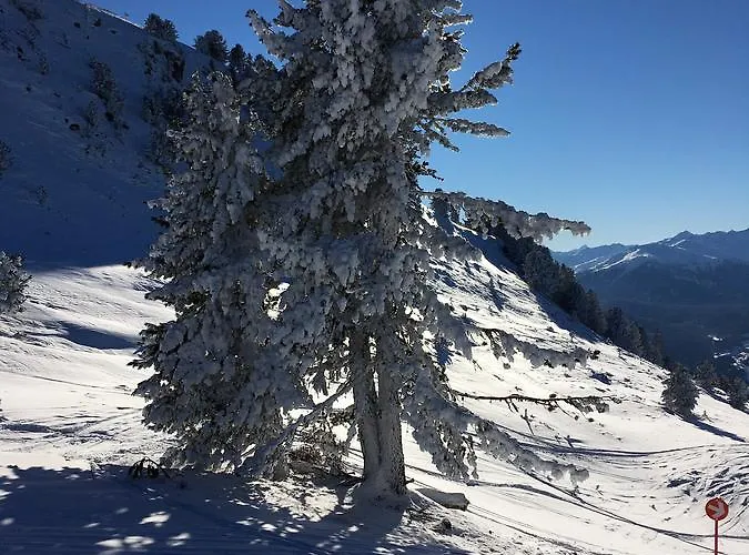 Appartamento Auderer Monika